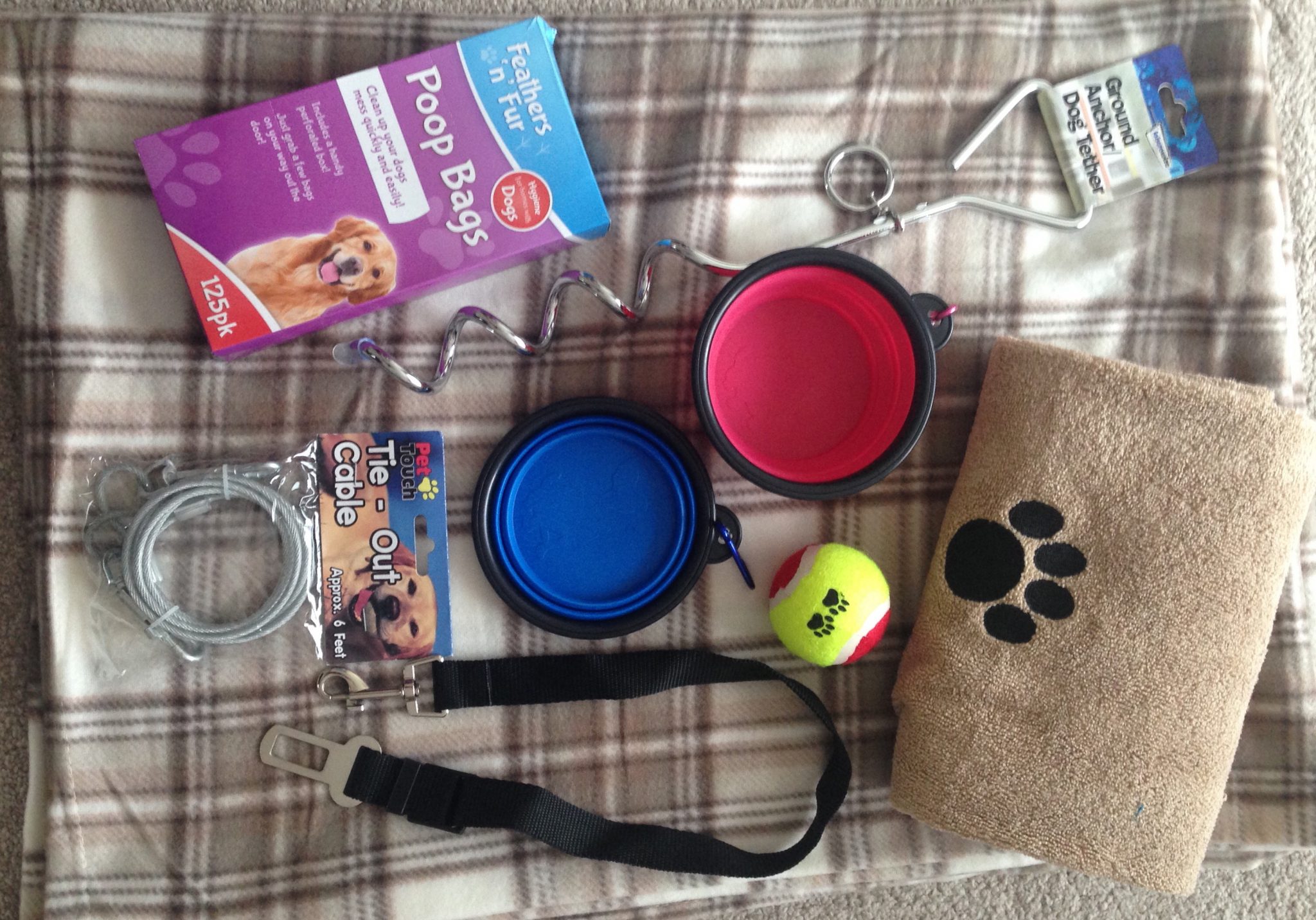 Life's an Adventure Dog Adventure Pack