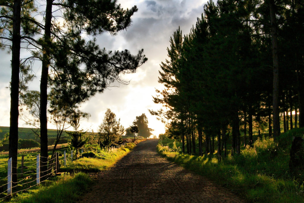 Life's an Adventure Motorhome hire & Campervan hire