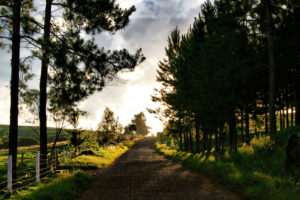 Life's an Adventure Motorhome hire & Campervan hire